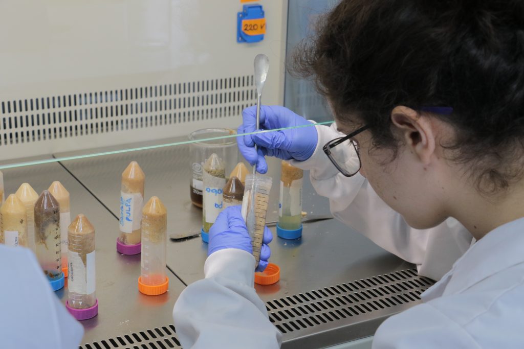 Proyecto ecuatoriano es uno de los ganadores de la competencia internacional Hult Prize