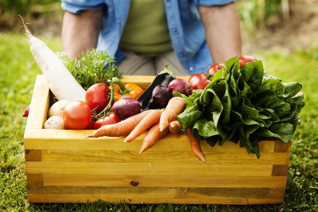 Proyecto potenciará agricultura en Ecuador