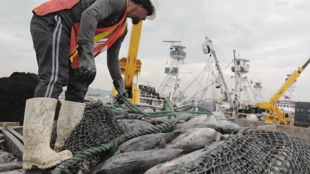Sector pesquero se destaca por buenas prácticas