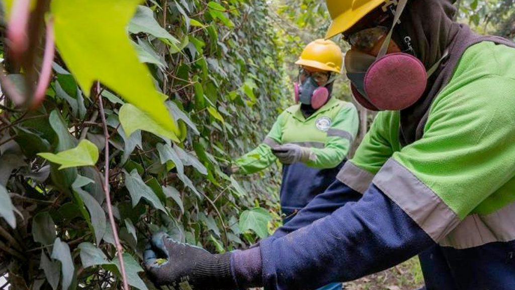 Acciones para un cambio climático sostenible