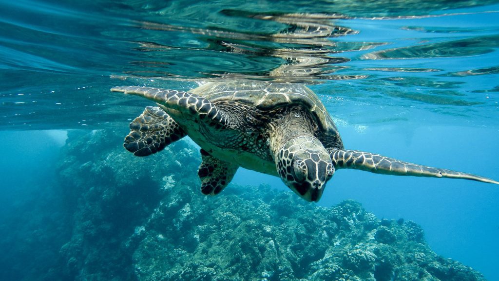 Explora Galápagos, un proyecto innovador de turismo