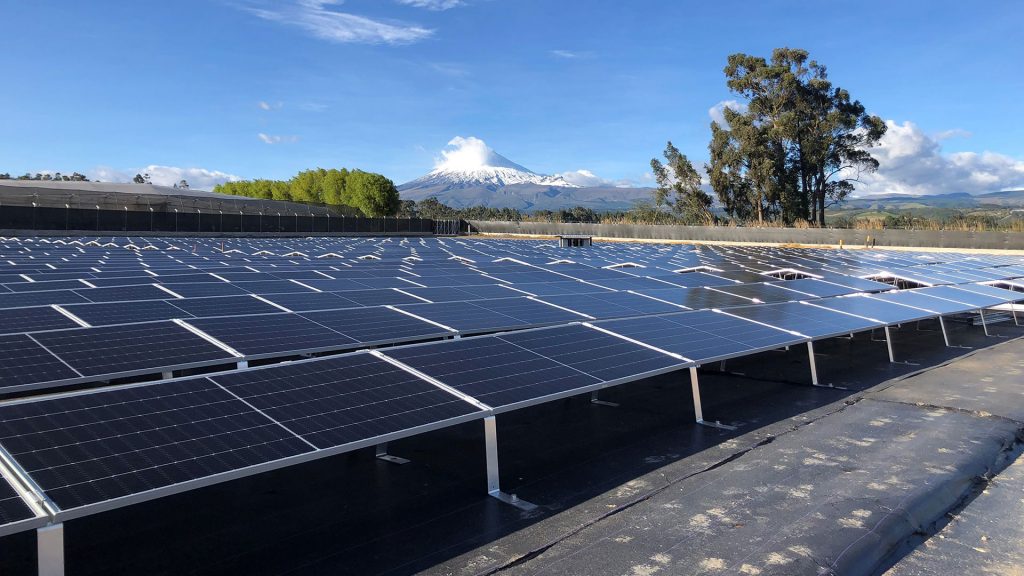 Provefrut empezó a generar su propia energía limpia