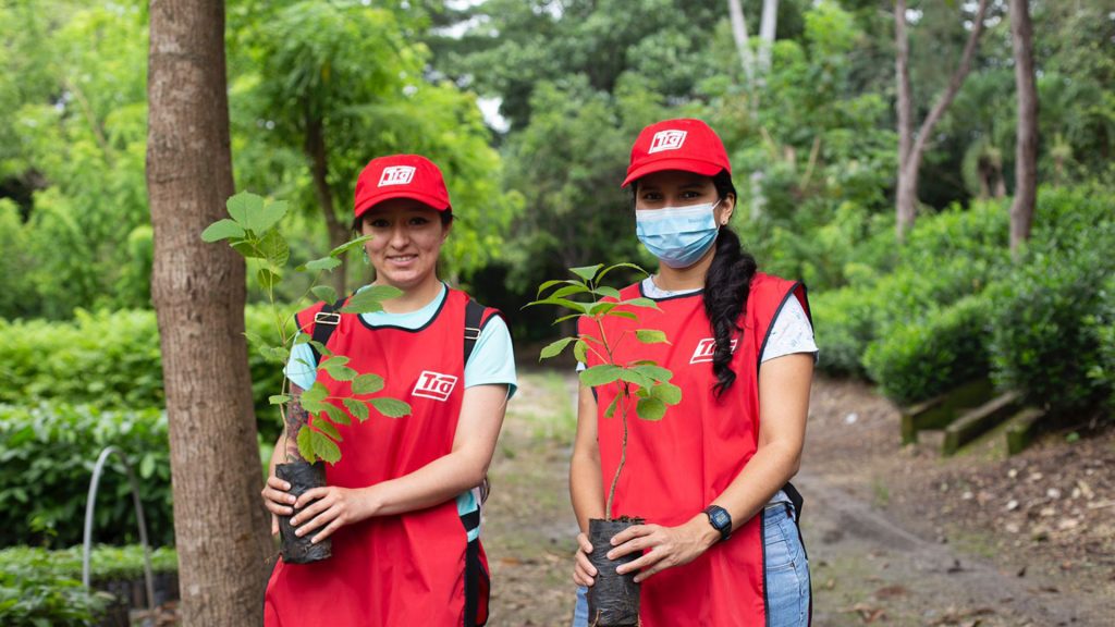 Tía cumplió jornada de reforestación