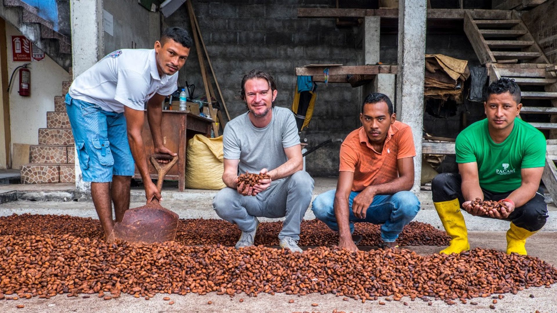 7 de julio el Día Mundial del Cacao