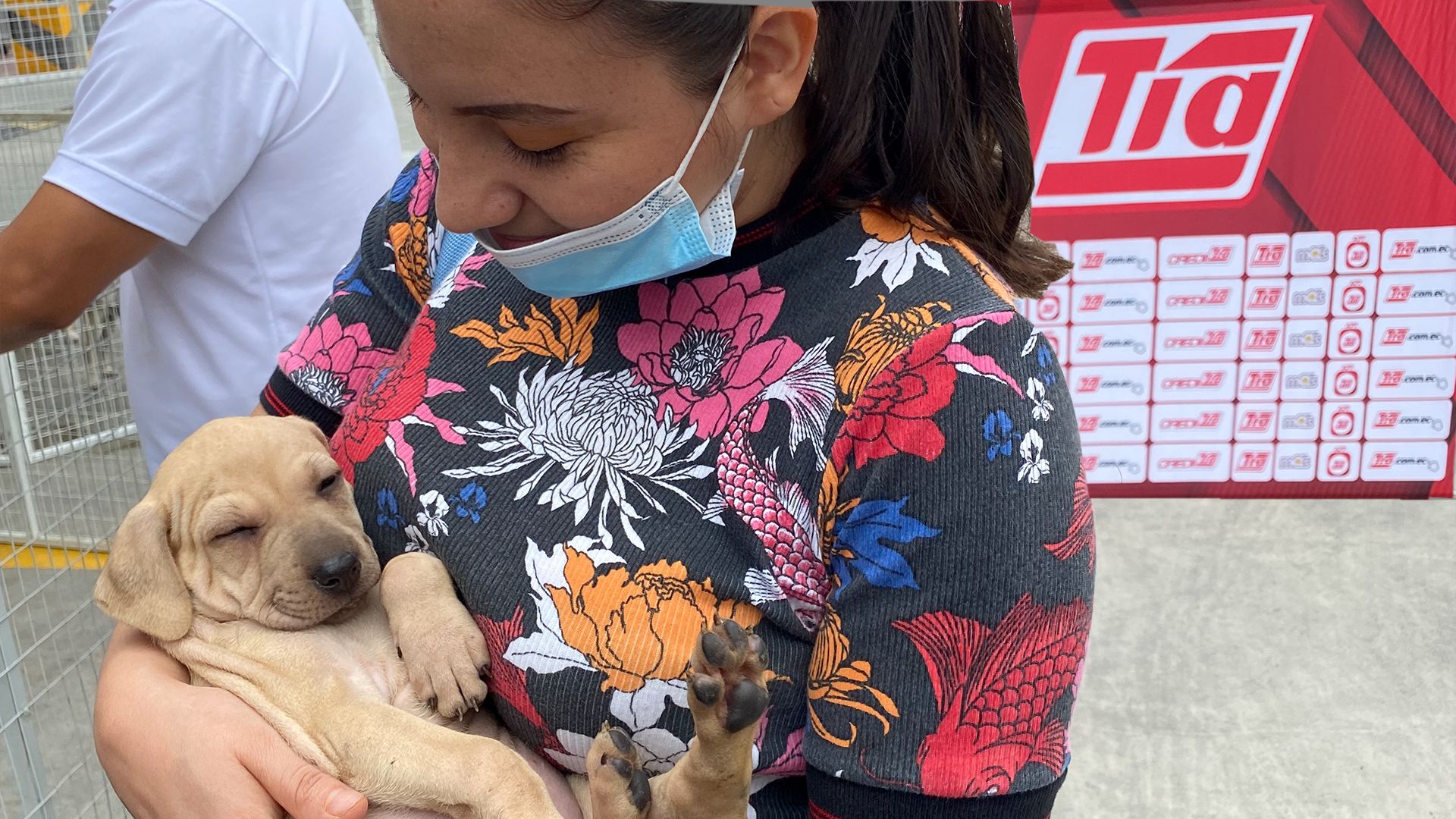 Tía fomenta la cultura de adopción canina y felina