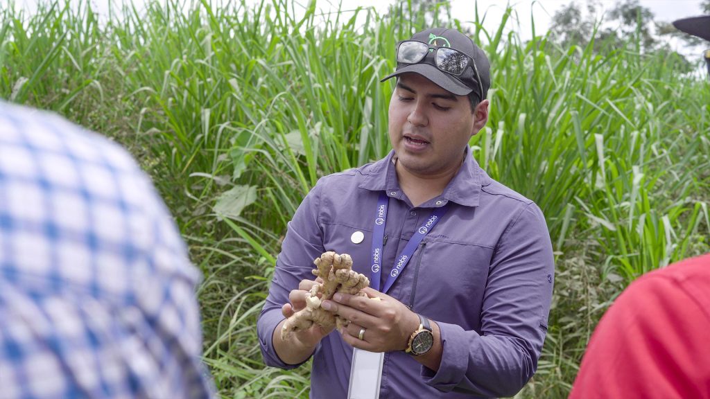 Un proyecto agrícola de impacto económico, social y ambiental