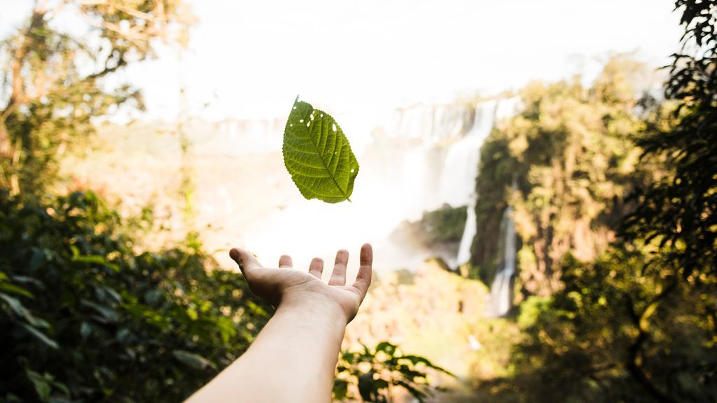 Fundación Pachamama, 25 años de preservar la Amazonía