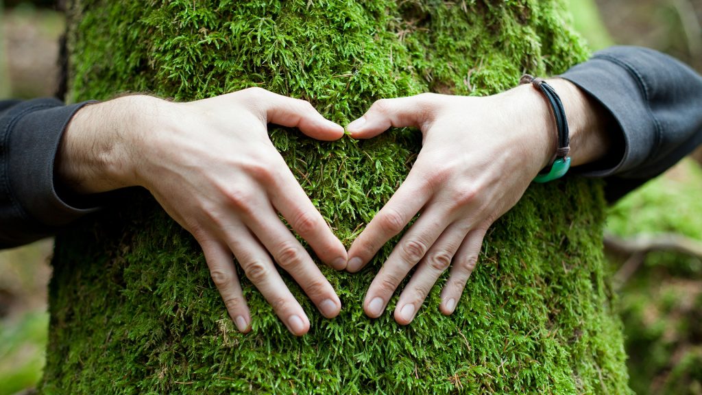 El compromiso medioambiental de Samsung