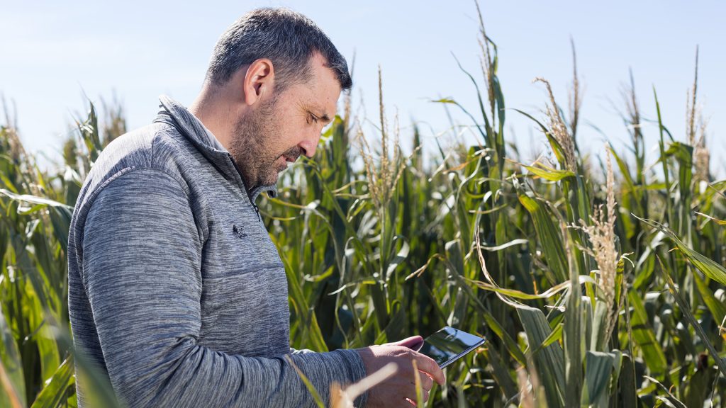 La tecnología y el beneficio del Sector agrícola