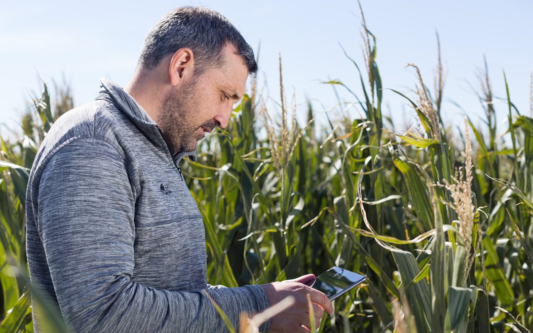 La tecnología y el beneficio de los agronegocios