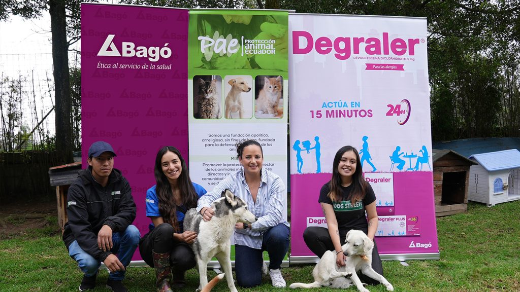 Se realizará jornada de adopción de perros