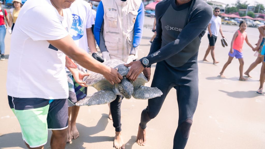 Estudiantes reciben charla para el cuidado de la fauna marina
