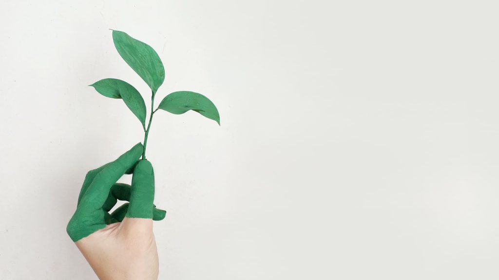 Minsait recibe el “sello verde de verdad”