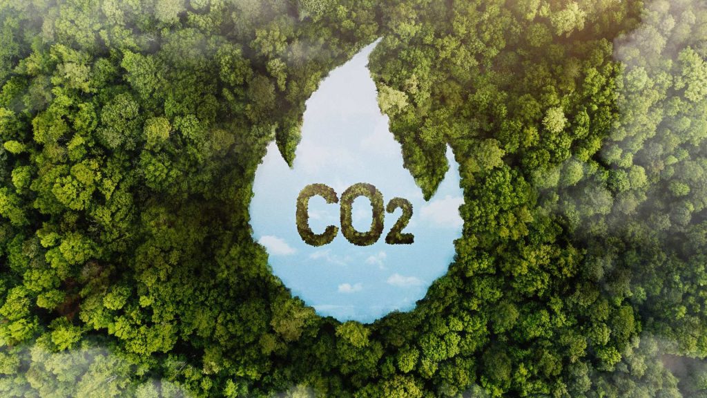 innovación empresarial en la reducción de emisiones CO2
