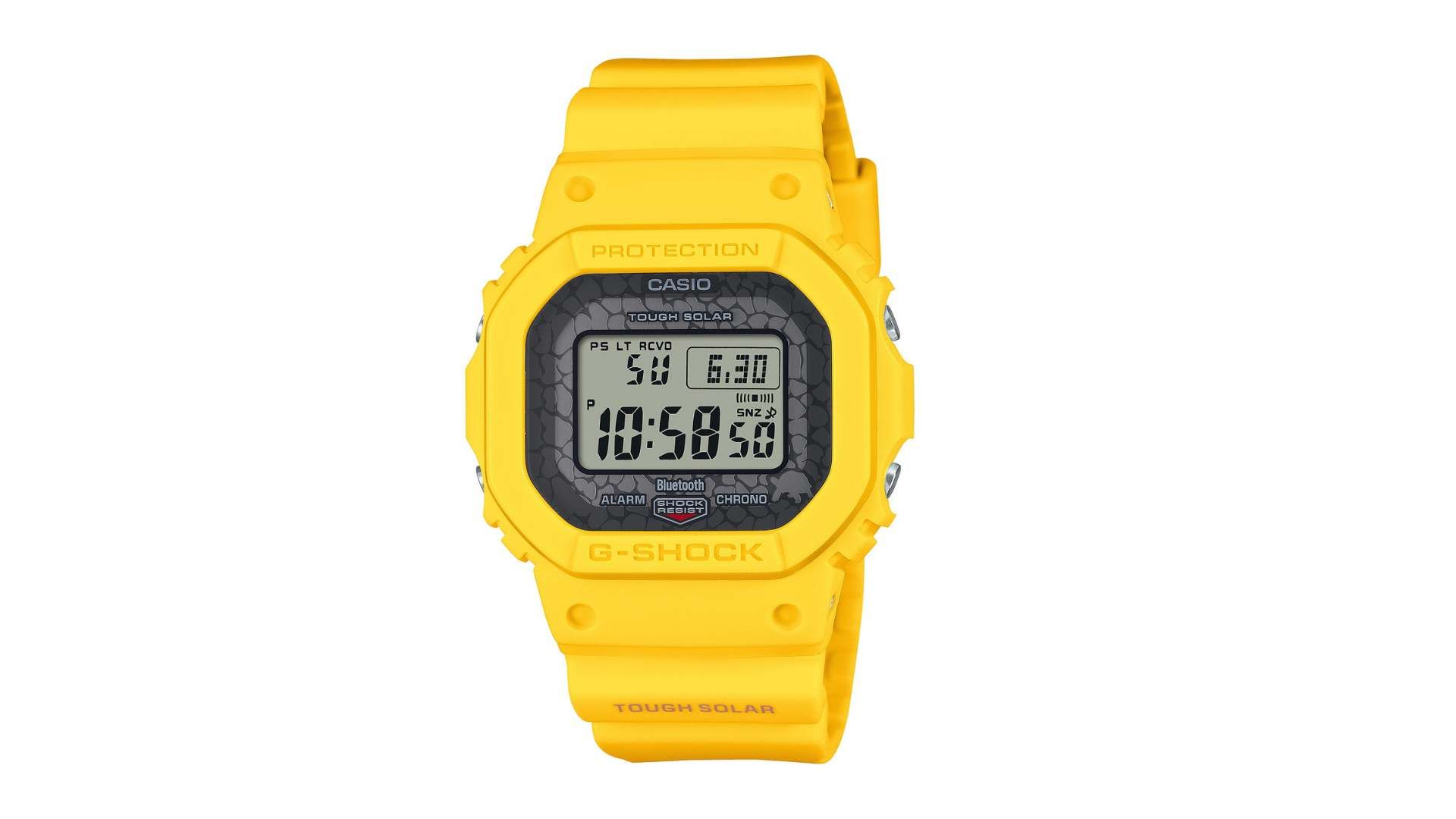 reloj biodiversidad de Galápagos
