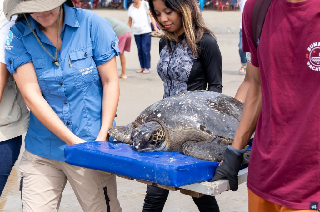 NIRSA continúa iniciativas para preservar océanos