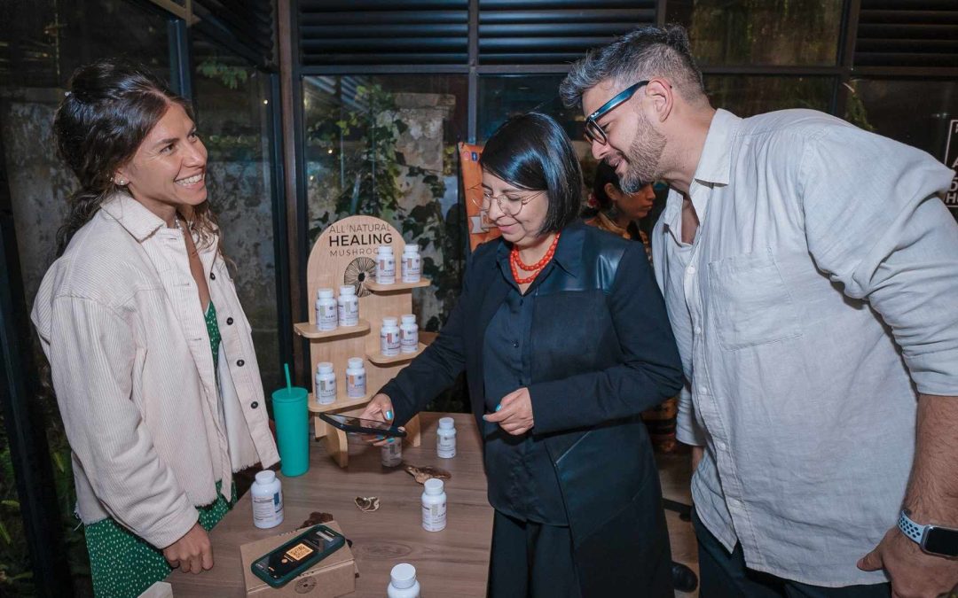 Este proyecto busca reducir la brecha digital en las microempresas
