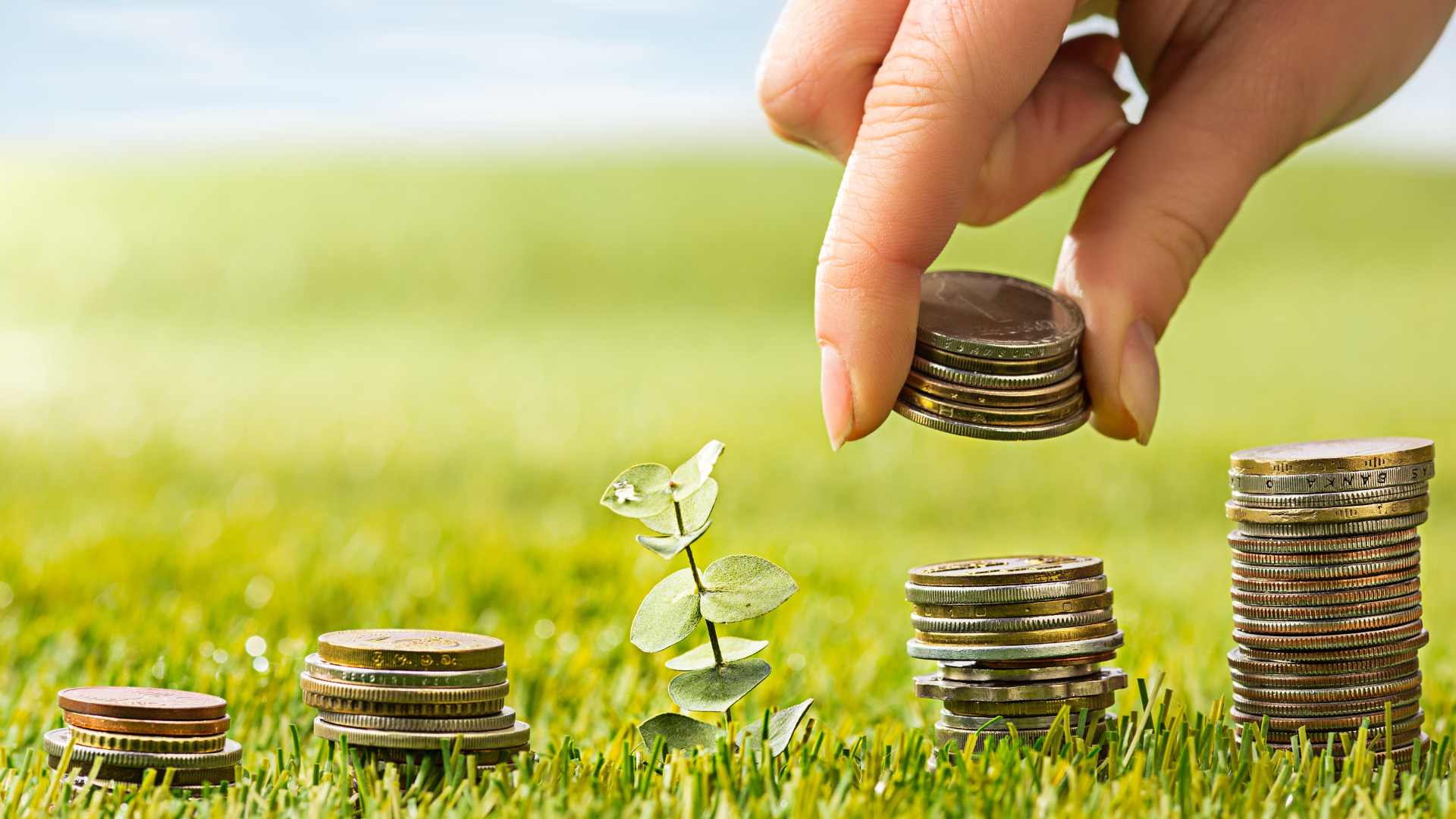haz crecer tu dinero