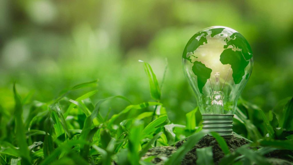 Día Mundial de la Energía 2025: más allá de la crisis hídrica - PULPO.EC
