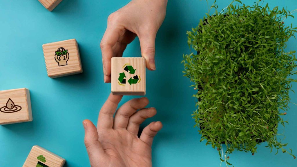 Puntonet refuerza su compromiso ambiental con iniciativas de economía circular - PULPO.EC