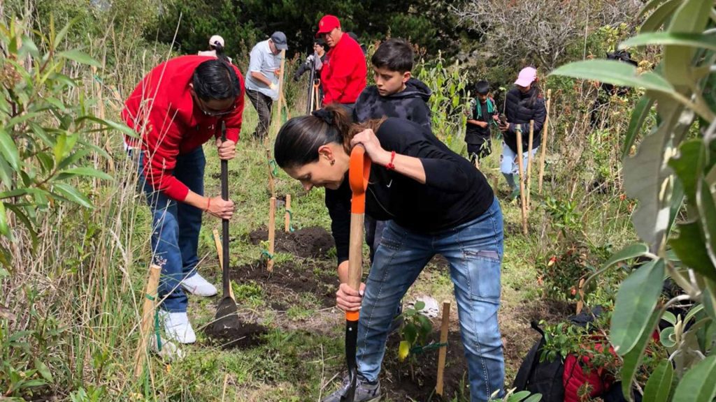 Ecuasanitas sembrará 8 mil árboles nativos en áreas protegidas - PULPO.EC
